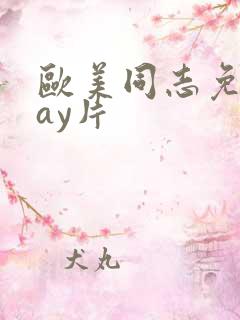 欧美同志免费gay片