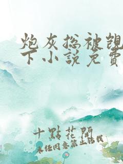 炮灰总被觊觎南下小说免费阅读