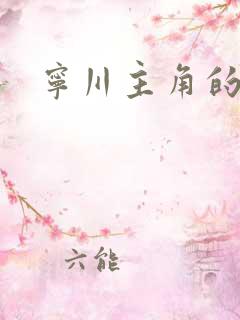 宁川主角的小说