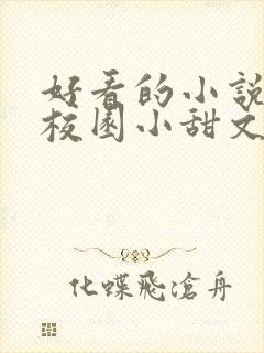 好看的小说言情校园小甜文