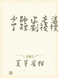 少帅你老婆又跑了短剧后续