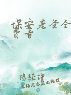 保安老爸全集免费看