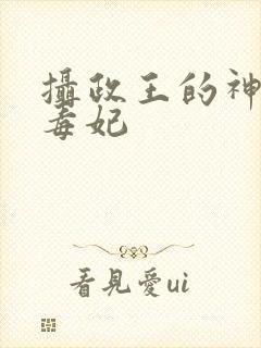 摄政王的神医小毒妃