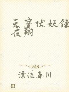 天宝伏妖录非天夜翔