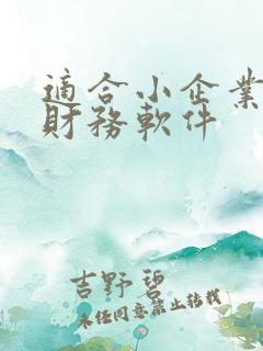 适合小企业用的财务软件