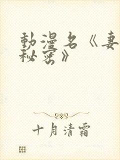 动漫名《妻子的秘密》