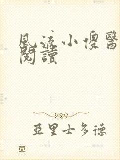 风流小傻医完整阅读