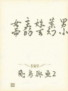 女主姓叶男主姓帝的玄幻小说