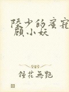 陆少的蜜宠甜妻 顾小妖