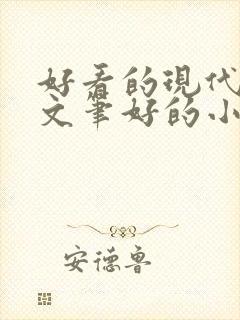 好看的现代言情文笔好的小说