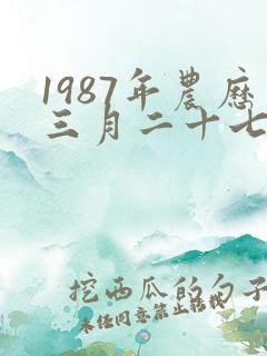 1987年农历三月二十七日八字算命