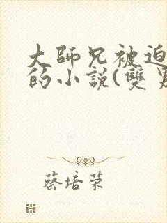 大师兄被迫承欢的小说(双男主)