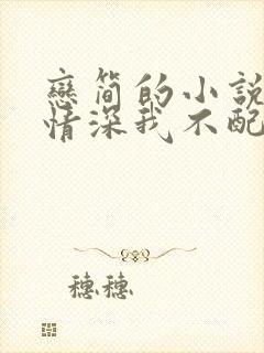 恋简的小说你的情深我不配