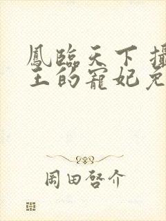 凤临天下 摄政王的宠妃免费阅读