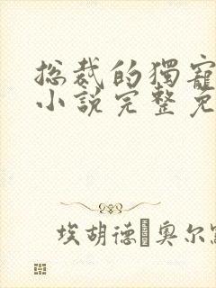 总裁的独宠甜妻小说完整免费