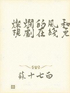 灿烂的风和海电视剧在线免费观看