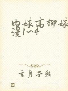 肉嫁高柳嫁家动漫1~4