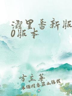 涩里番新版4.0版本