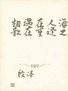 相遇在人海,聚散在重逢之外