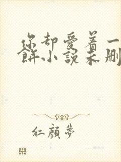 你却爱着一个烧饼小说未删完整版