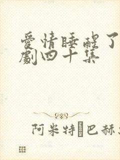 爱情睡醒了连续剧四十集