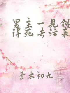 男主一见钟情爱得死去活来的小说