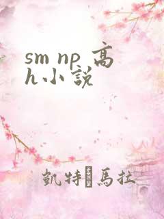 sm np 高h小说