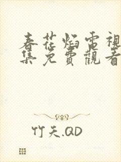 春花焰电视剧剧集免费观看全集完整版