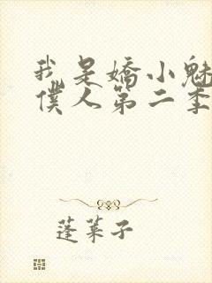 我是娇小魅魔的仆人第二季