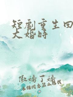 短剧重生回夫君大婚时