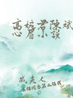 高婉君陈斌和赵心眉小说