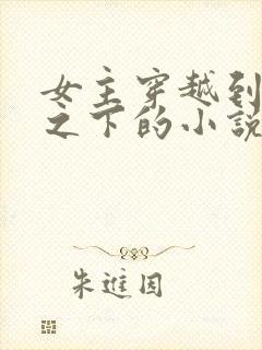 女主穿越到锦衣之下的小说