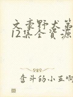 文豪野犬第三季12集全资源