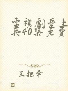 电视剧爱上特种兵40集免费观看全集