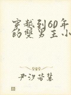 穿越到60年代的双男主小说