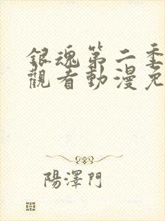 银魂第二季在线观看动漫免费高清