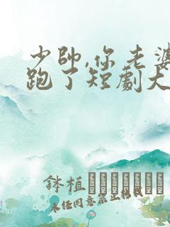 少帅,你老婆又跑了短剧大结局