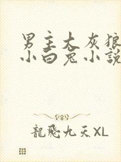 男主大灰狼女主小白兔小说