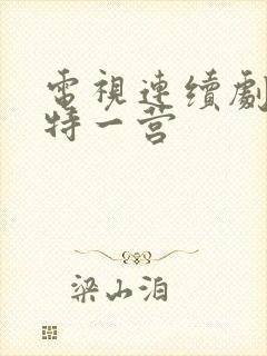 电视连续剧我的特一营