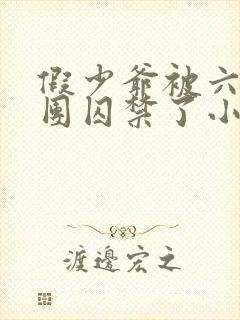 假少爷被六个哥团囚禁了小说