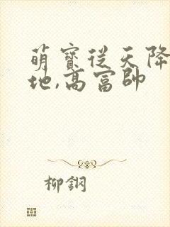 萌宝从天降:爹地,高富帅