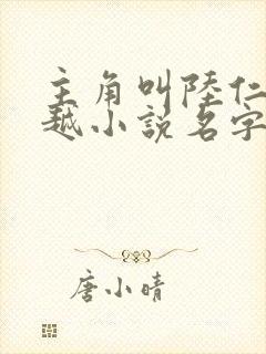 主角叫陆仁的穿越小说名字