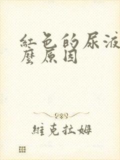 红色的尿液是什么原因