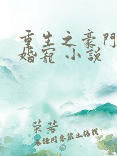 重生之豪门第一婚宠 小说