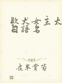 败犬女主太多了日语名