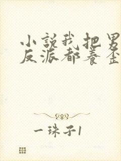 小说我把男主和反派都养歪了