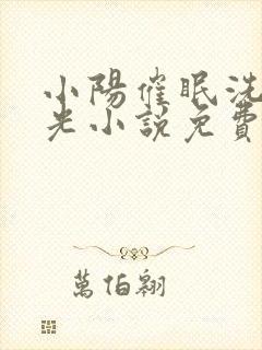 小阳催眠洗脑曹光小说免费阅读