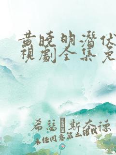 黄晓明潜伏者电视剧全集免费观看