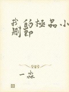 我的极品小姨无删节