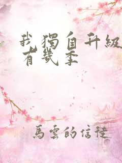 我独自升级动漫有几季